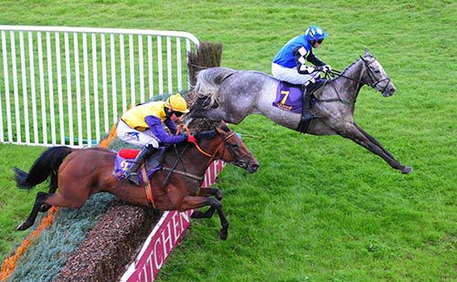 King's Wharf leads Hurry Kitty