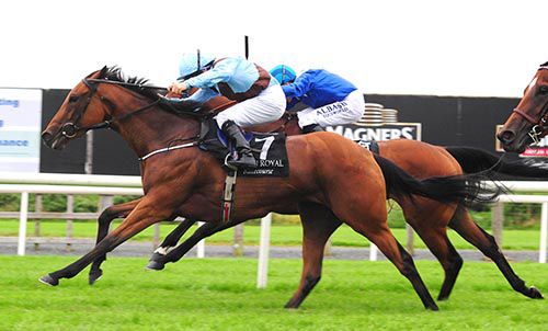 The Yellow Bus, near side, gets the better of Sufoof in Down Royal