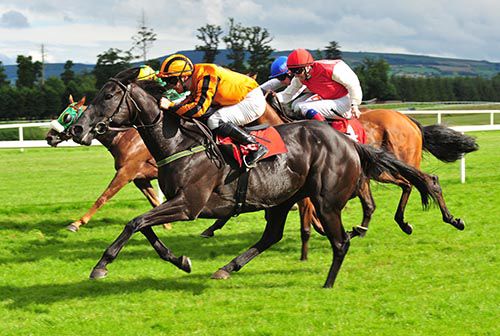 Enough Is Enough, orange, swoops in Gowran Park