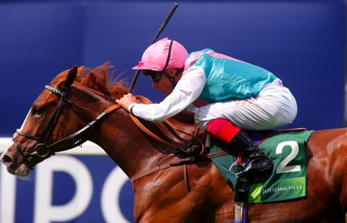 The Roger Charlton-trained Fair Eva
