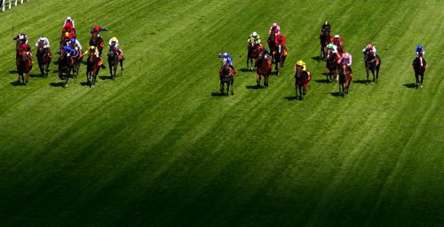 Grey horse down the centre, blue and white silks - Librisa Breeze