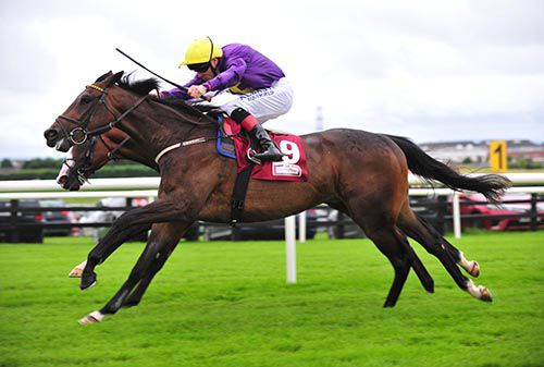 Right Honourable, near side, edges ahead in Galway