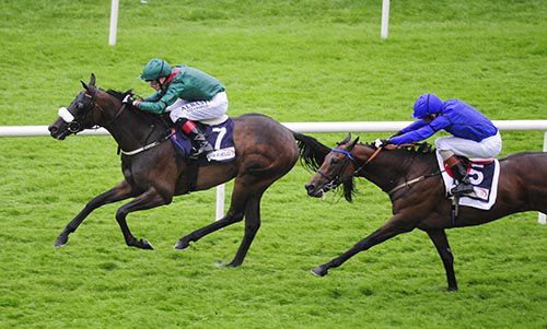 Sikandarabad holds off Saafarr