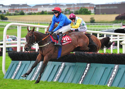 Plain Talking will bid for further Galway glory