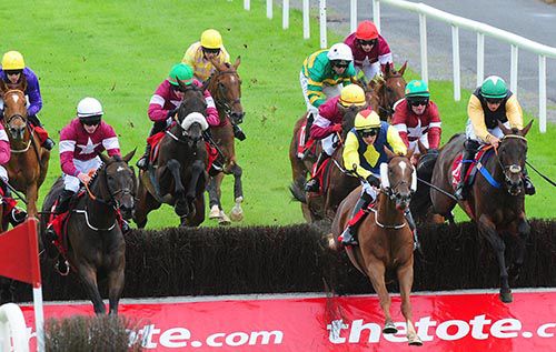 Lord Scoundrel (green cap, third from left and with sheep-skin noseband)
