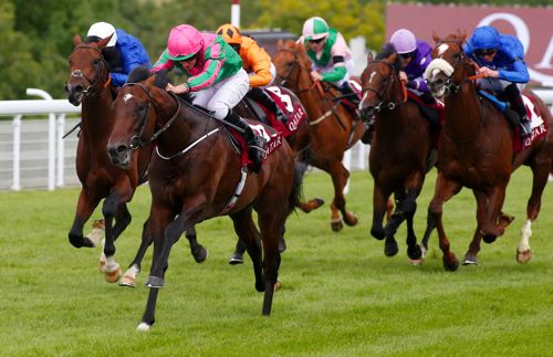 War Decree winning the Vintage Stakes at Goodwood