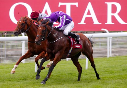 Galileo Gold and The Gurkha (pictured) could clash again, along with Ribchester