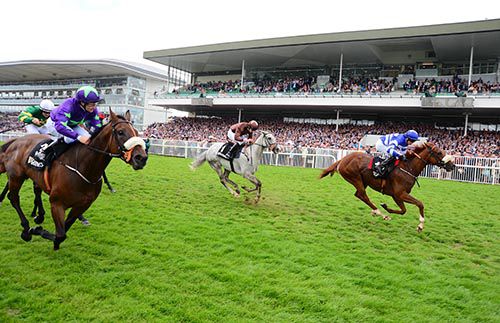 Total Demolition (right) and Conor Hoban beating Marshall Jennings