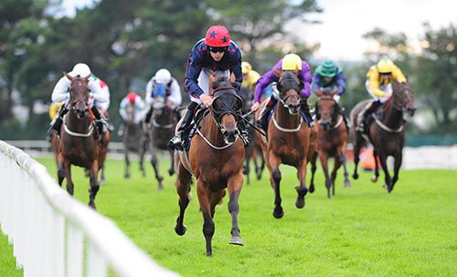 Intrepid Prince was an easy winner at Galway on Friday