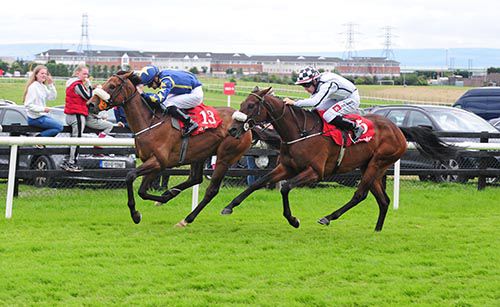 Striking Gold and Colm O'Donoghue beat off Captain Carleton and Leigh Roche