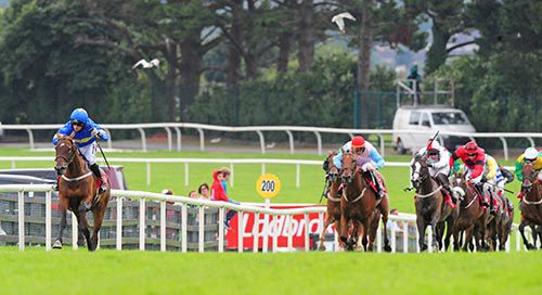 Queen Deirdre and Patrick Mullins leave the opposition in their wake