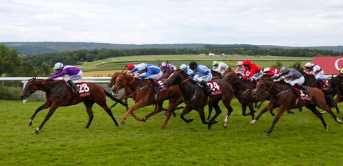 Dancing Star leads the field home in the Stewards' Cup