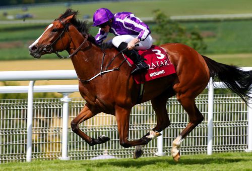 Minding and Ryan Moore