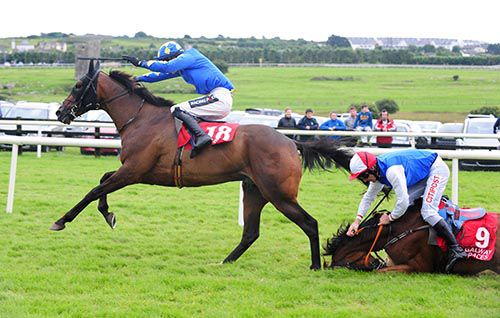 Garri Rua and Danny Mullins move on as Sea Light and Davy Russell crash out