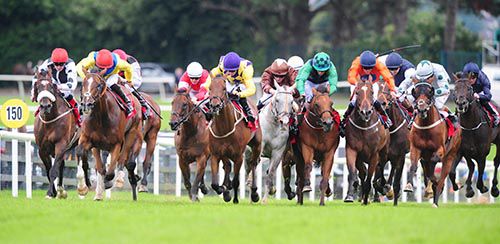 Dream Walker (grey horse) weaves his way through under Chris Hayes