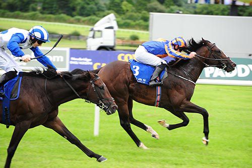 Leo Minor is pushed out by Seamie Heffernan to beat Noivado 