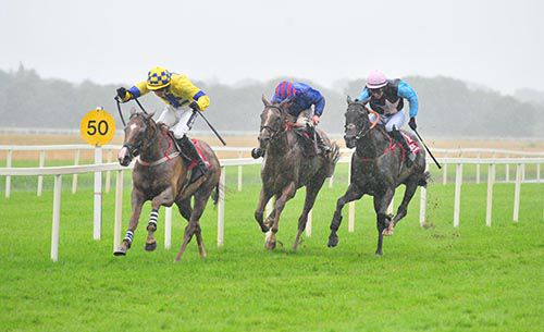 Bitview Colin (yellow) is ridden out by Danny Mullins to beat Lord Fendale (centre) and Killiney Court