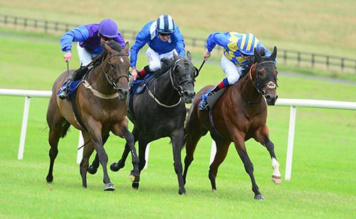 Haqeeba and Seamie Heffernan (left) just get the better of Almanaara (centre) and Flowerhill Nova
