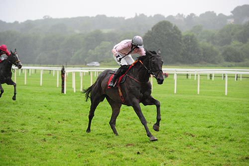 Rainy Day Dylan comes home in front under Luke McGuinness