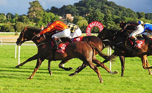 Korbous and Oisin Orr