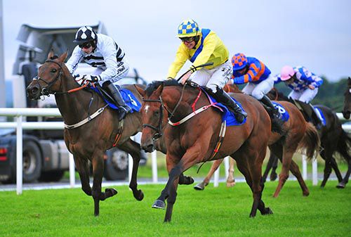 Dan Mcgrue, yellow, sees it out best in Roscommon