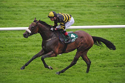 Sea Swift and Pat Smullen