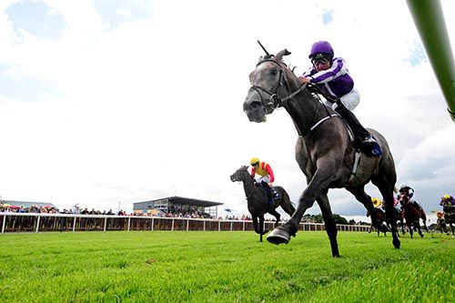 Capri is pushed out by Seamie Heffernan