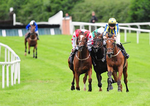 Left to right, Holy Water (2nd), Borderlinedecision (3rd) and Good Tradition (winner, Dean Sinnott, nearside)