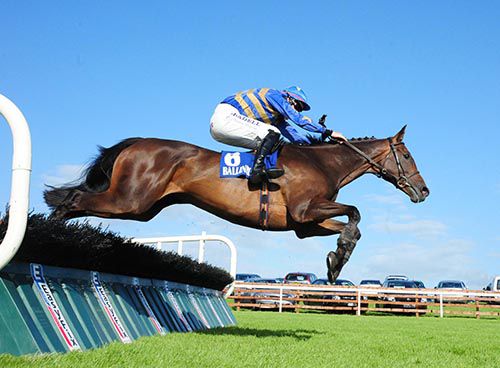 Buachaill Maith and Ger Fox