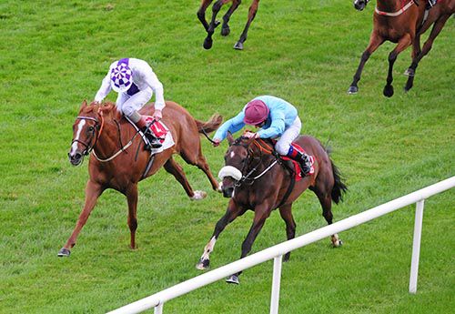 Lady Fandango (noseband) is ridden out by Declan McDonogh to beat Cirin Toinne