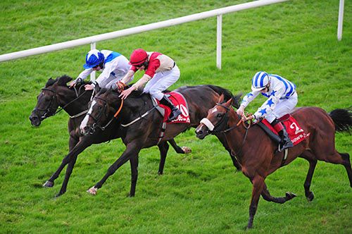 Romantic (inside) just gets the better of Jessamine (centre) and Liberality 