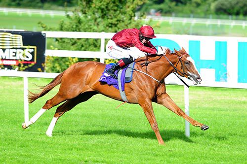 Holy Cat and Colin Keane