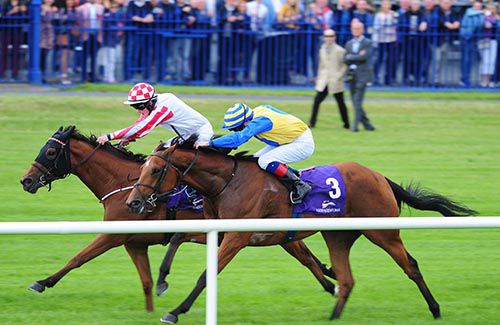 Captain Power (far side) is watched by winning trainer Eddie Lynam (arms folded casually)