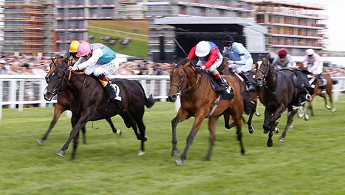 Action at Newbury today