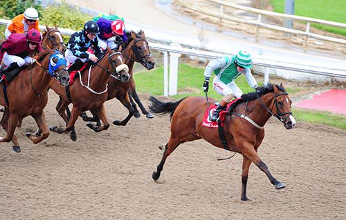 Primo Uomo and Killian Leonard score in good style at Dundalk