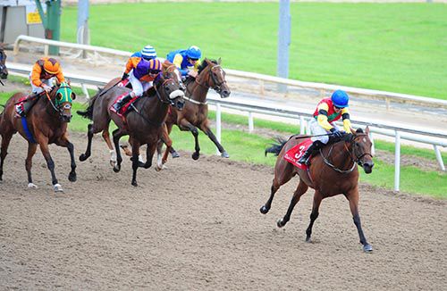 Fairy Foxglove and Ana O'Brien are clear