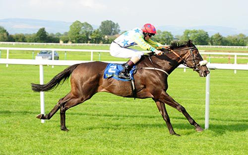 Lake George in command at Tipperary