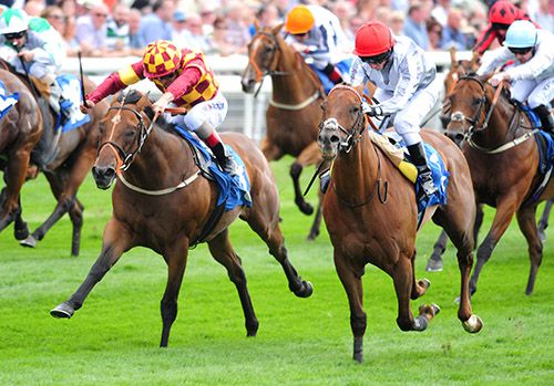 Duke Of Firenze, right