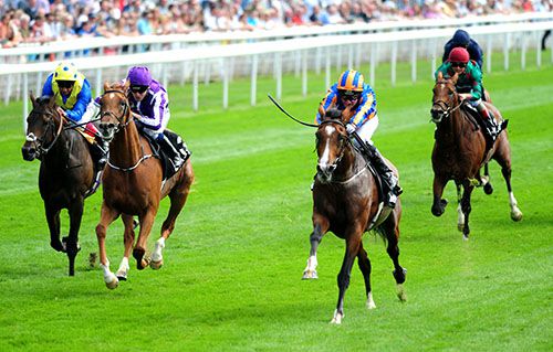 Idaho (Seamie Heffernan, nearside) beats stable companion Housesofparliament and Across The Stars