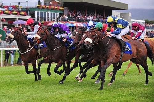 Erysimum and Billy Lee (nearside) just held on in the feature