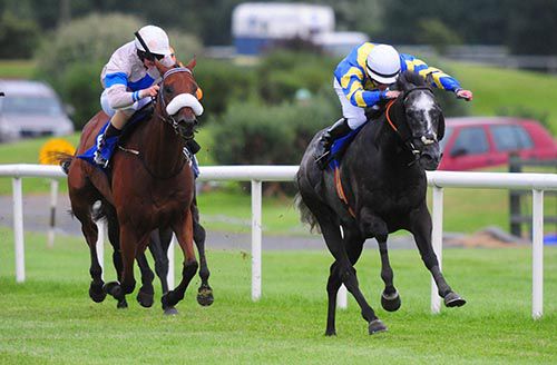 Avalanche and Tom Madden gallop on for victory over Trade Marked and Daniel Redmond