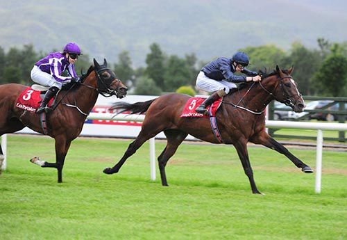 Triplicate and Donnacha O'Brien goes on to defeat Bravery with his sister Ana up