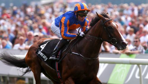 Idaho is likely to go off favourite for the Doncaster Classic