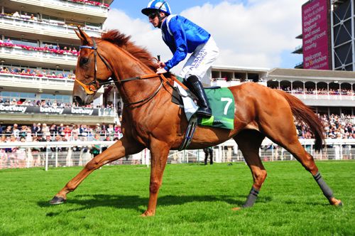 The William Haggas-trained Mutakayyef