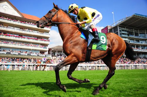 Postponed and Andrea Atzeni in winning action at York