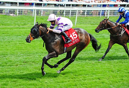 Stormy Clouds and Sean Leavy win for trainer Richard Hannon 