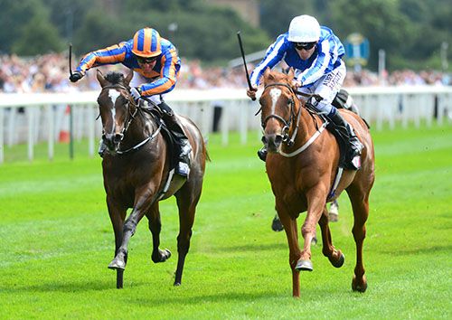 Queen Kindly and Jamie Spencer (right) beats Roly Poly 