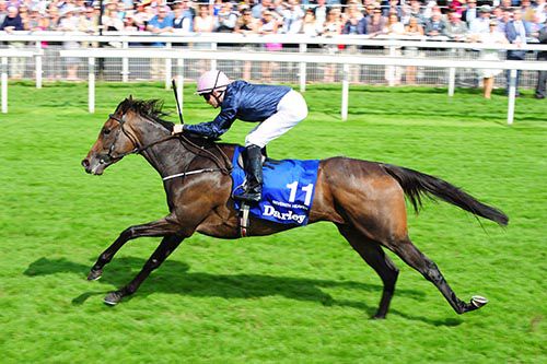 Seventh Heaven comes home in front under Colm O'Donoghue