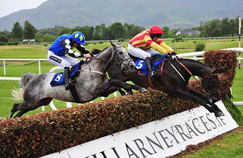 Owen Na View and Alain Cawley lead King's Wharf and Ruby Walsh over the last