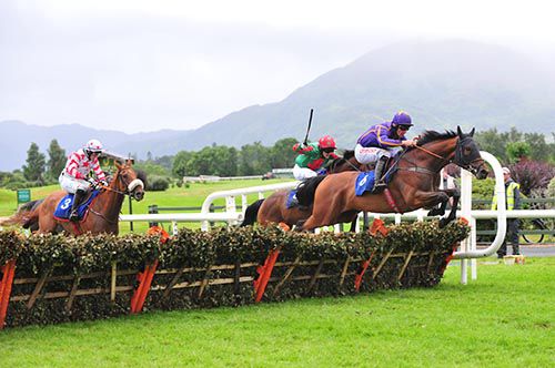 The Last Marju jumps the last under Davy Russell